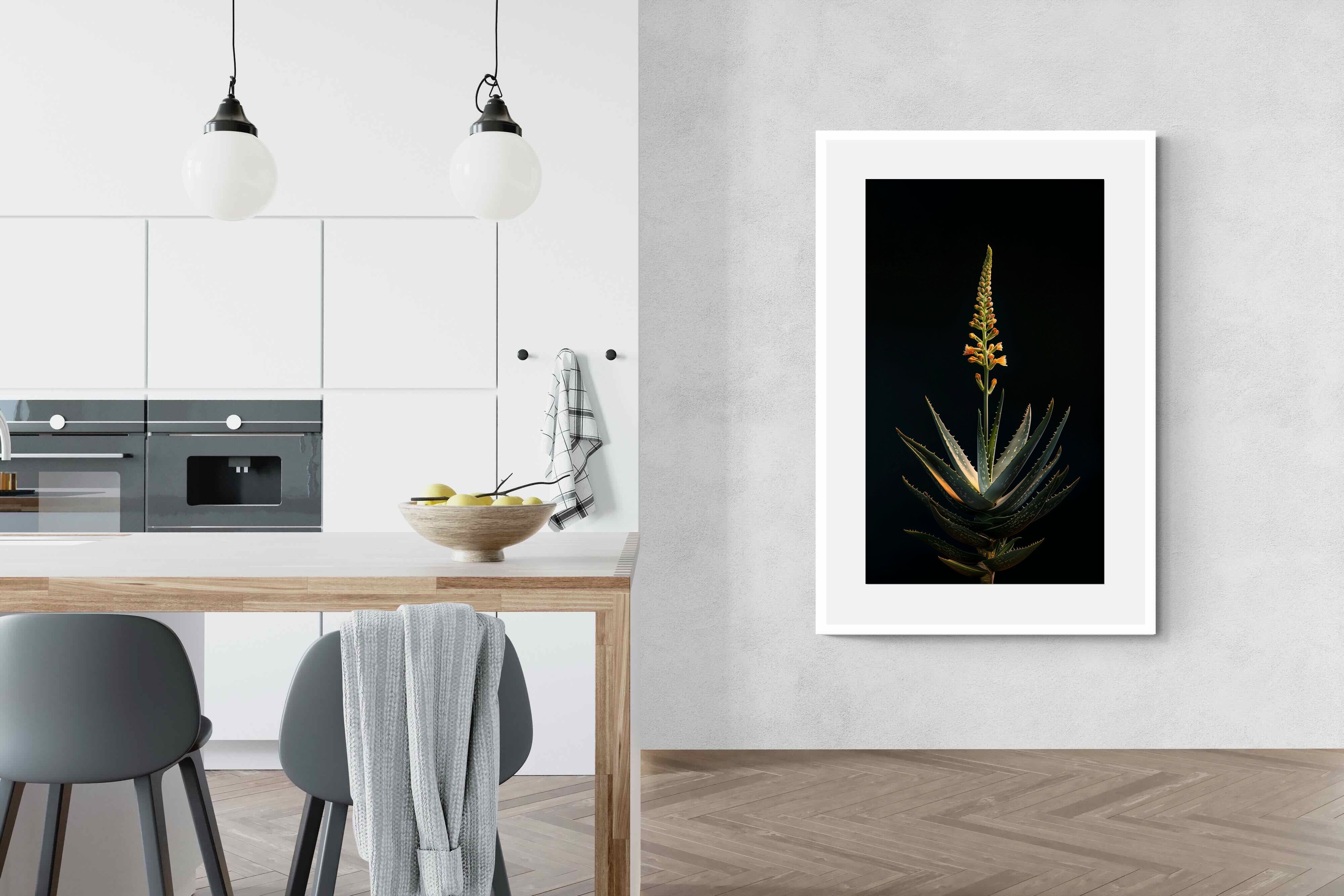 Pixalot Aloe Ascension