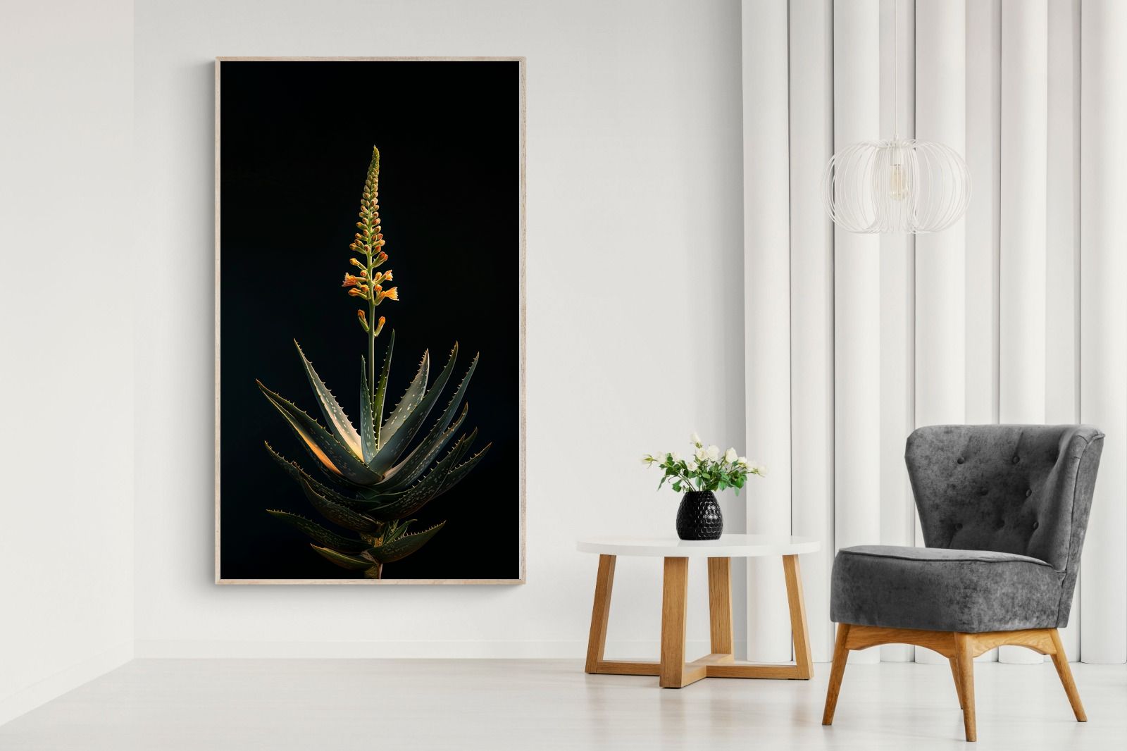 Pixalot Aloe Ascension