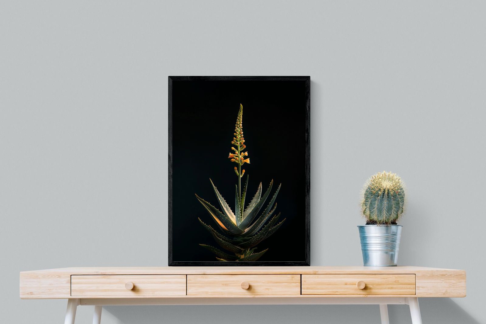 Pixalot Aloe Ascension