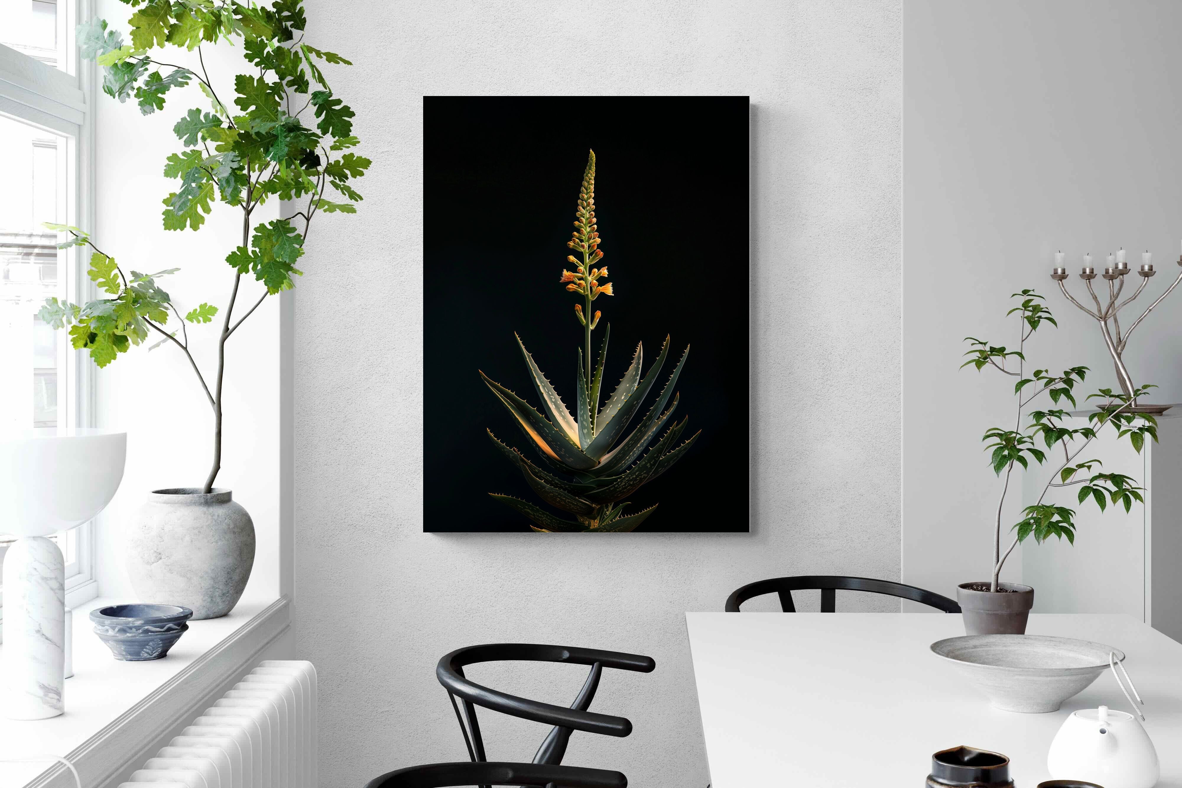 Pixalot Aloe Ascension