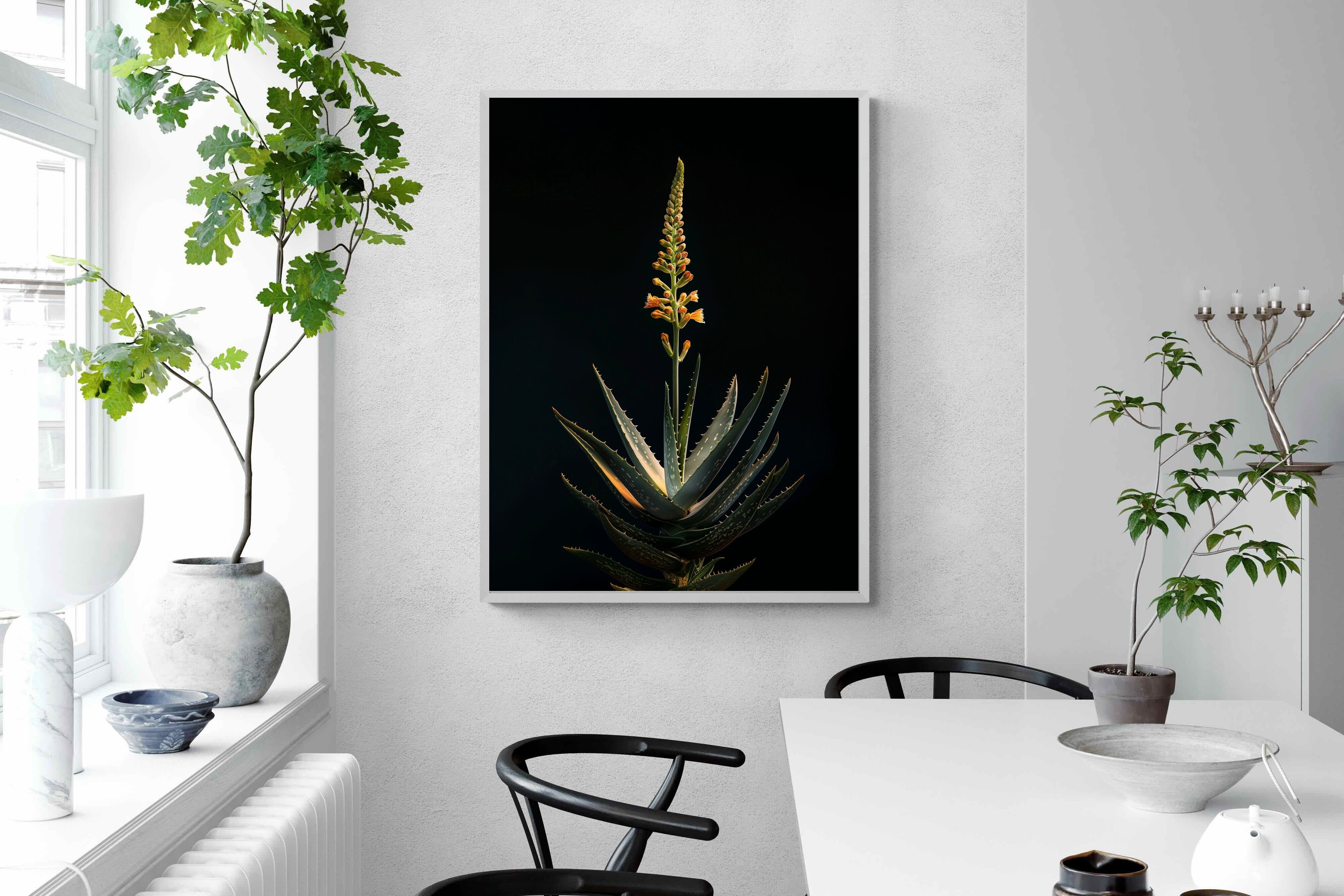 Pixalot Aloe Ascension