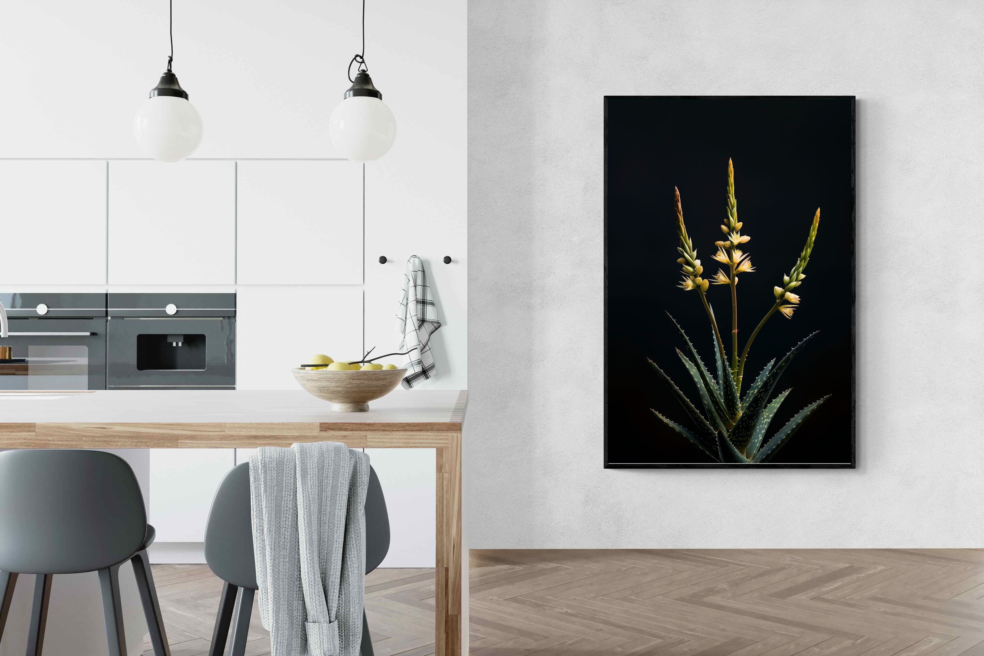 Pixalot Aloe Triad