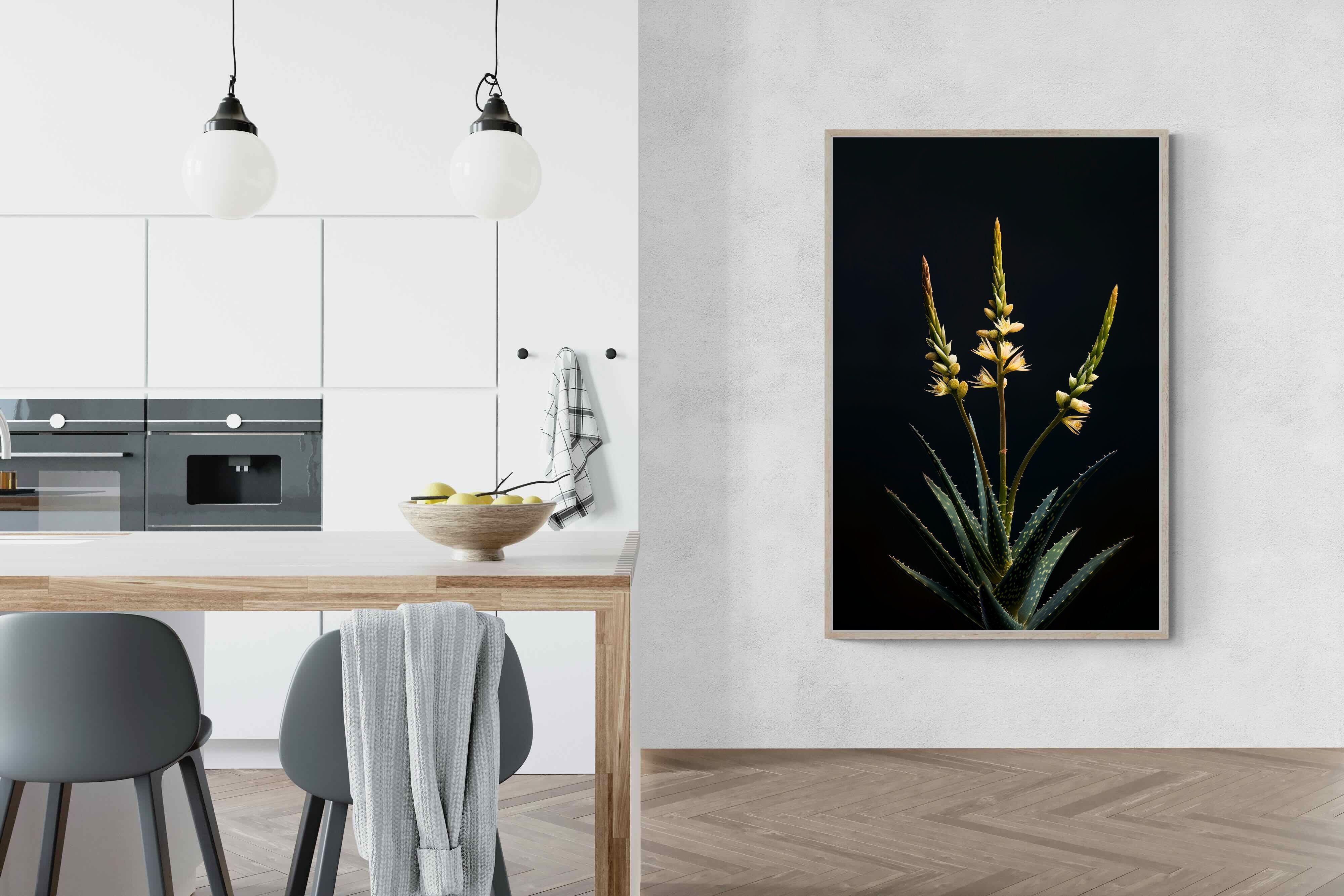 Pixalot Aloe Triad
