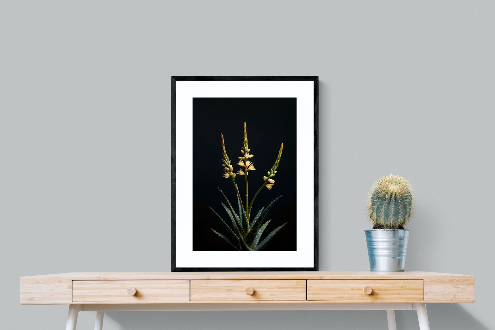 Pixalot Aloe Triad