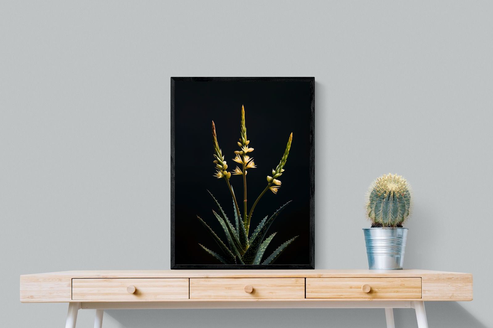 Pixalot Aloe Triad