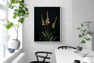Pixalot Aloe Triad