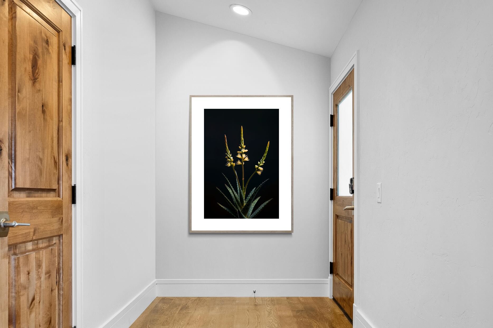 Pixalot Aloe Triad