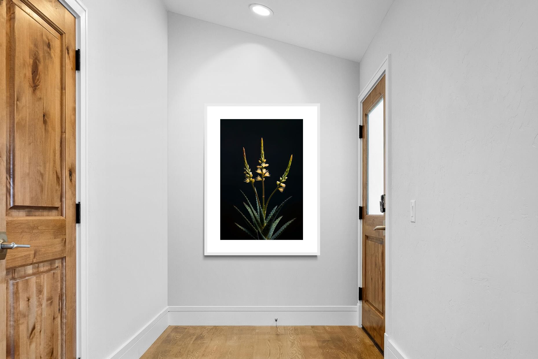 Pixalot Aloe Triad