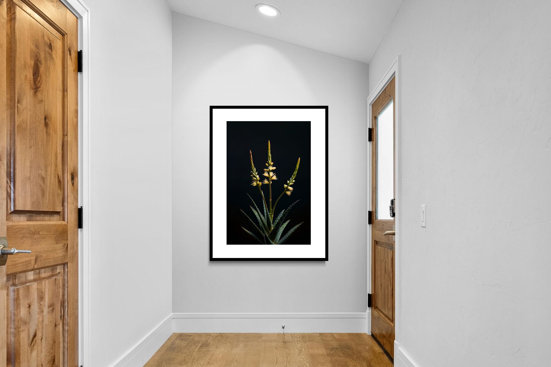 Pixalot Aloe Triad