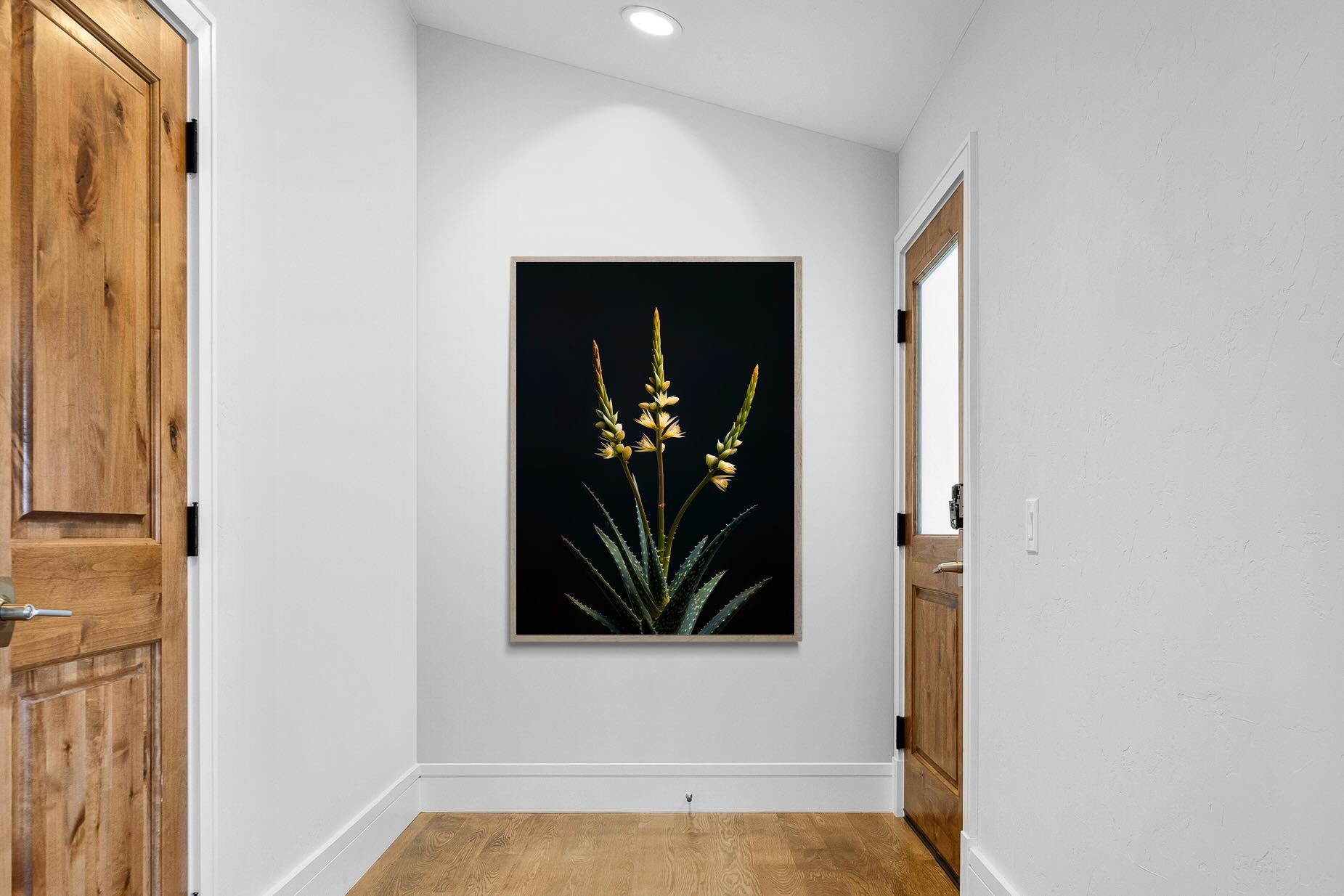 Pixalot Aloe Triad