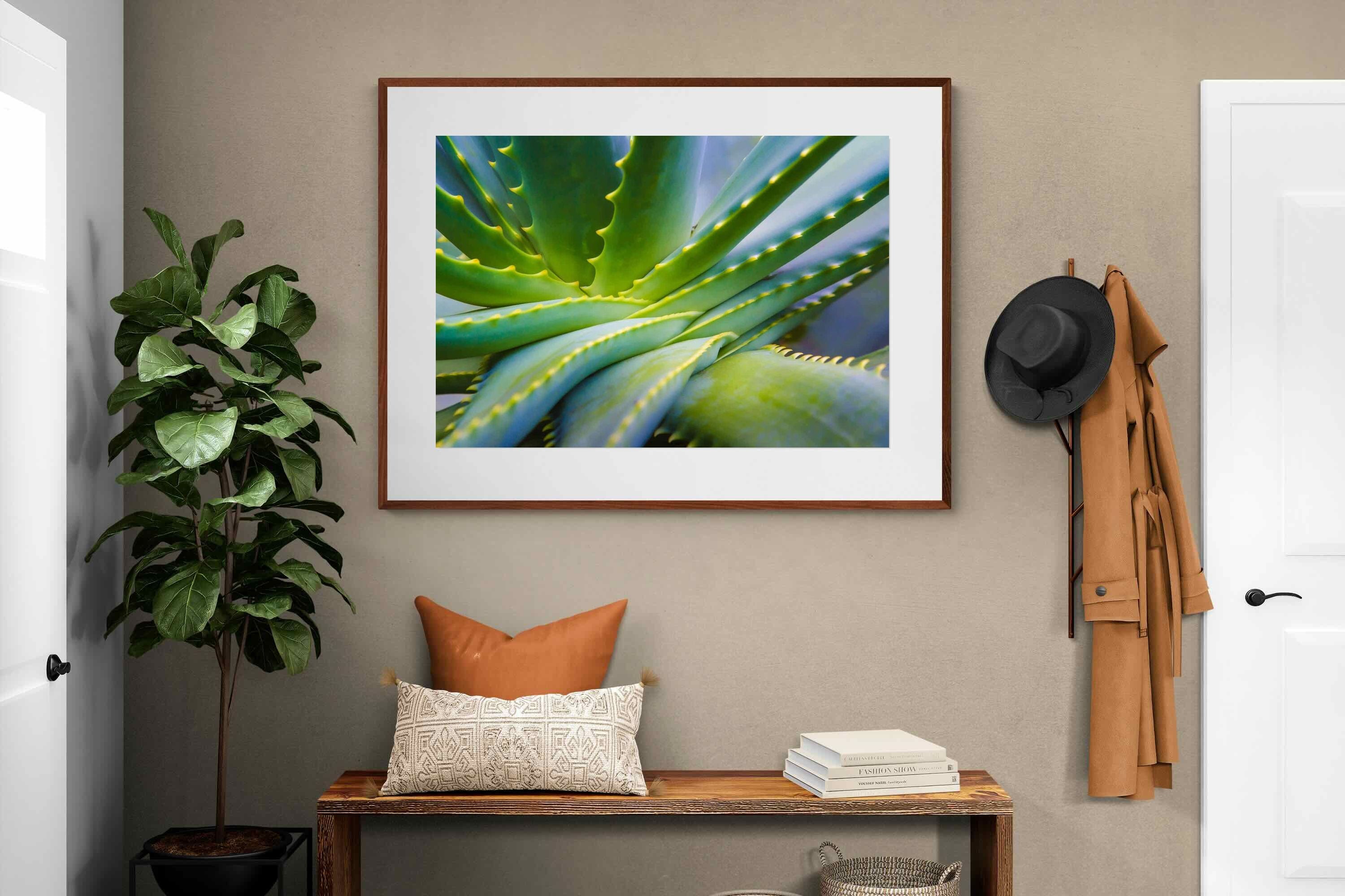 Pixalot ® Aloe Vera