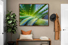 Pixalot ® Aloe Vera