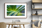 Pixalot ® Aloe Vera