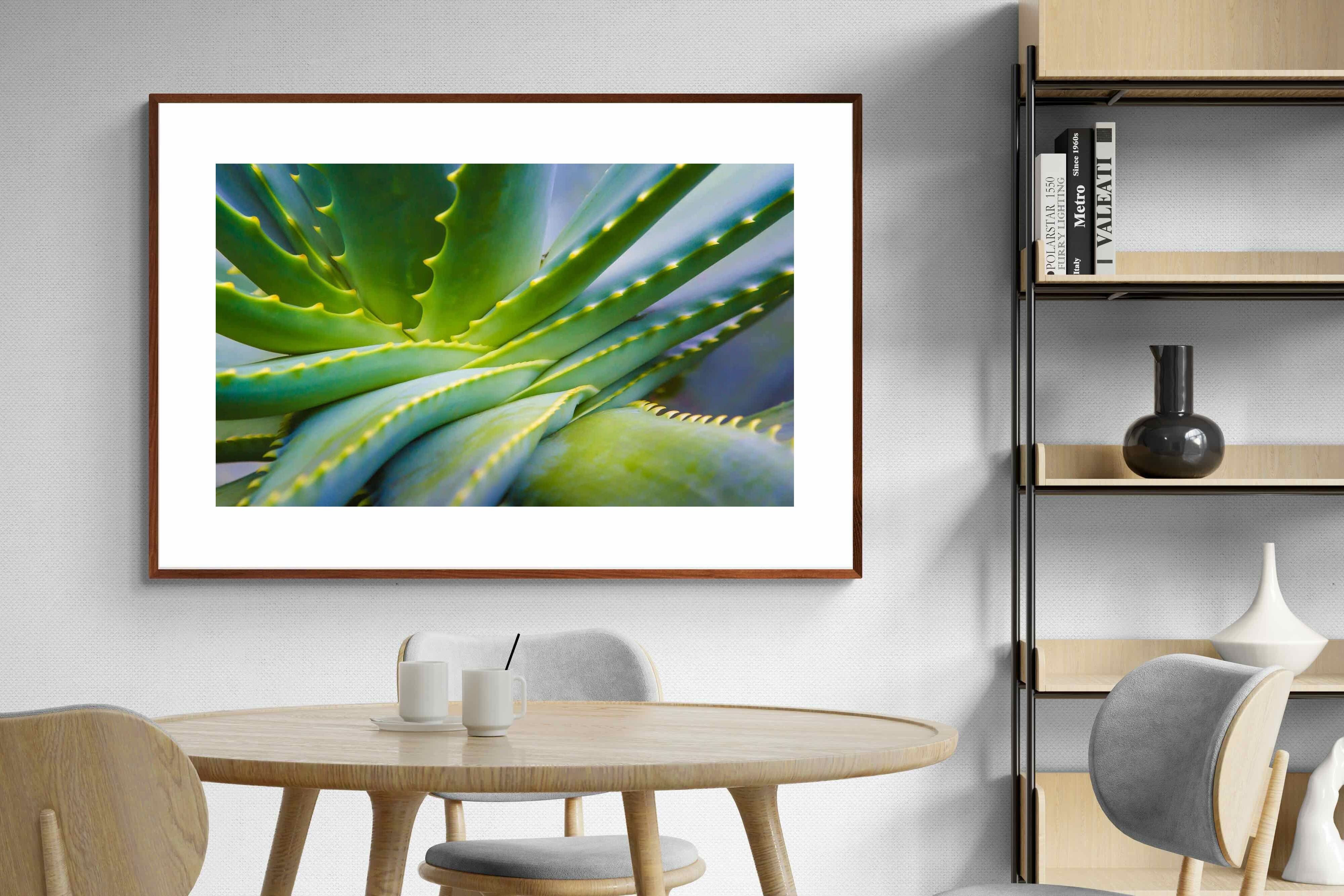 Pixalot ® Aloe Vera