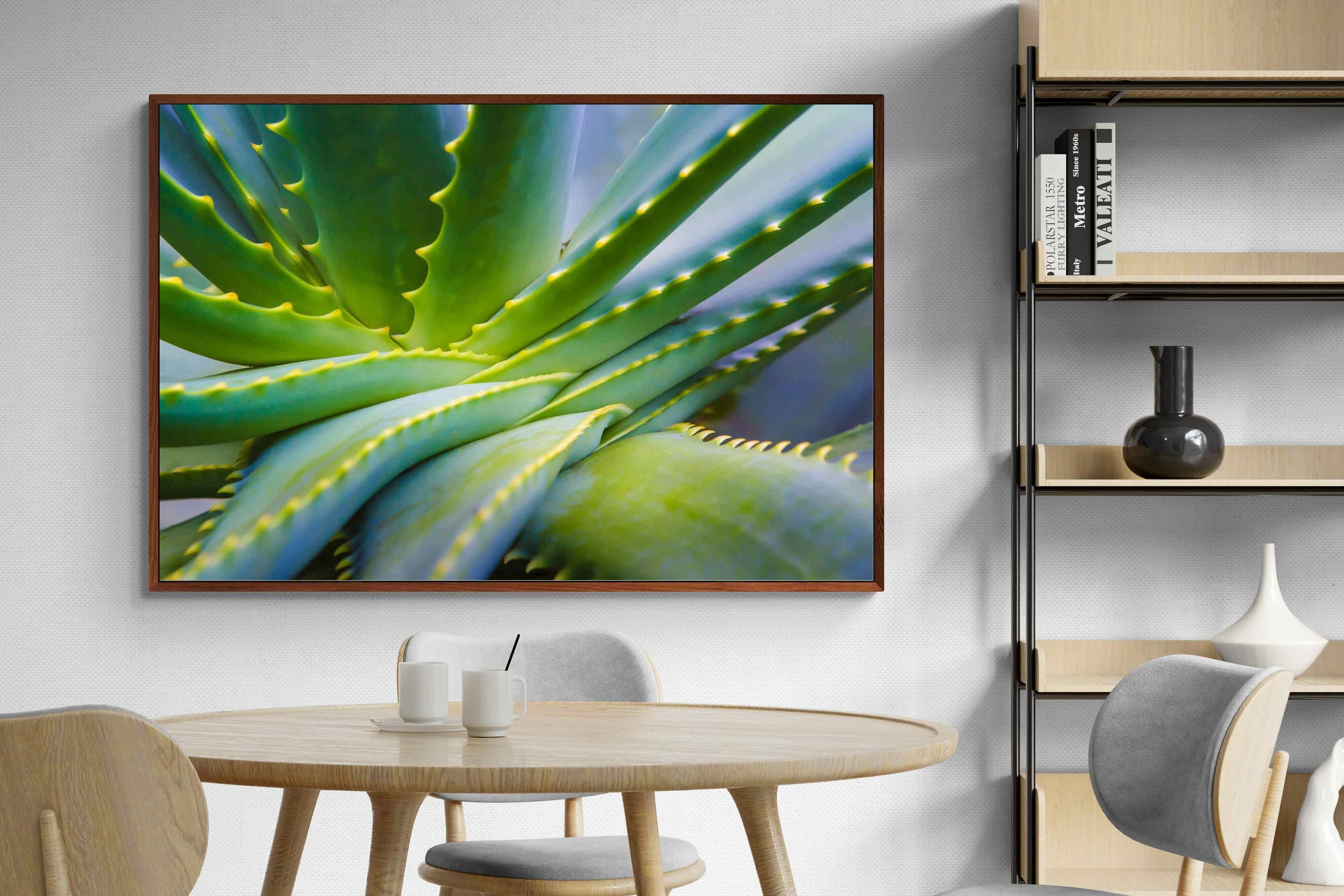 Pixalot ® Aloe Vera