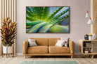 Pixalot ® Aloe Vera