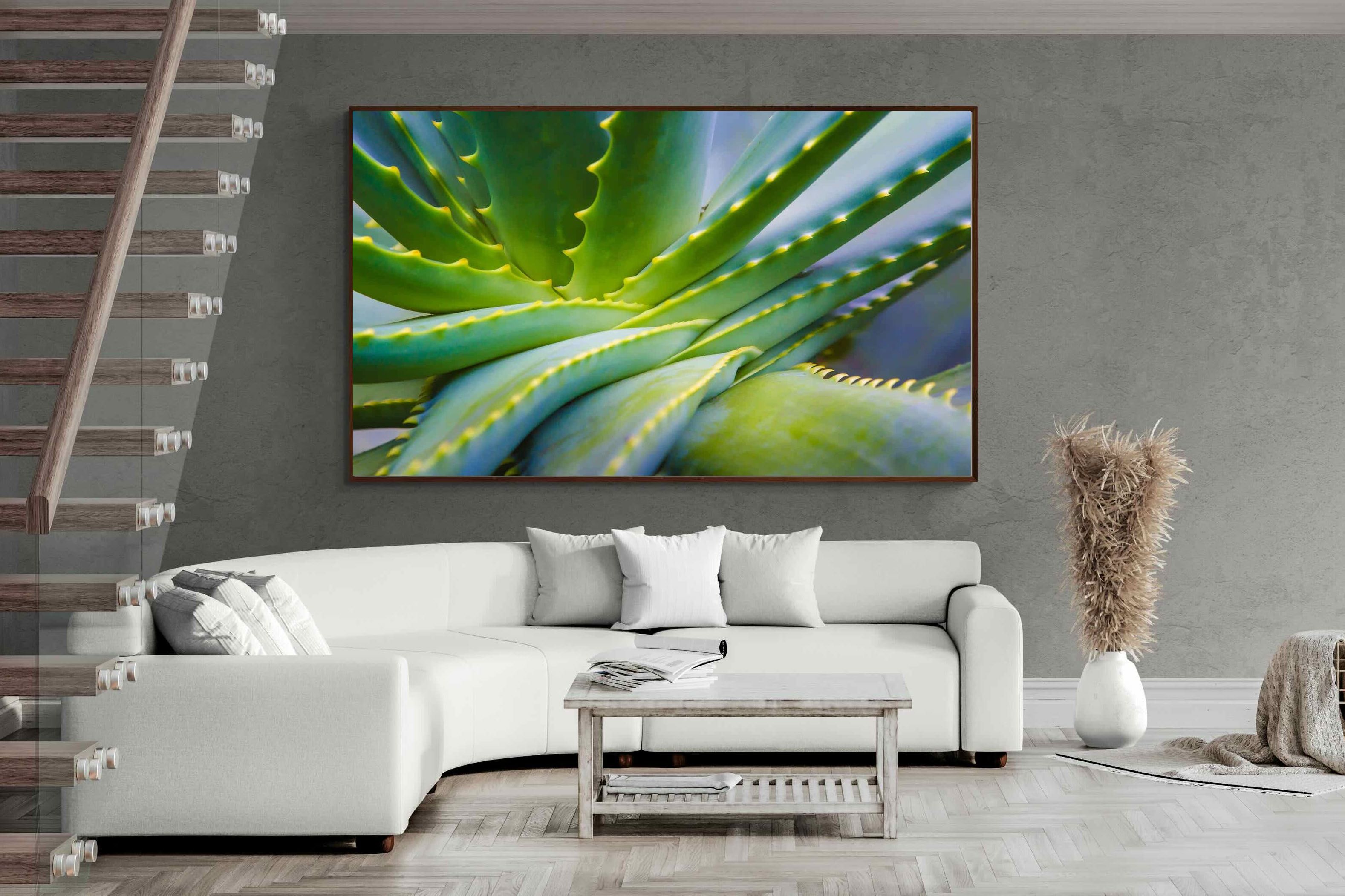 Pixalot ® Aloe Vera