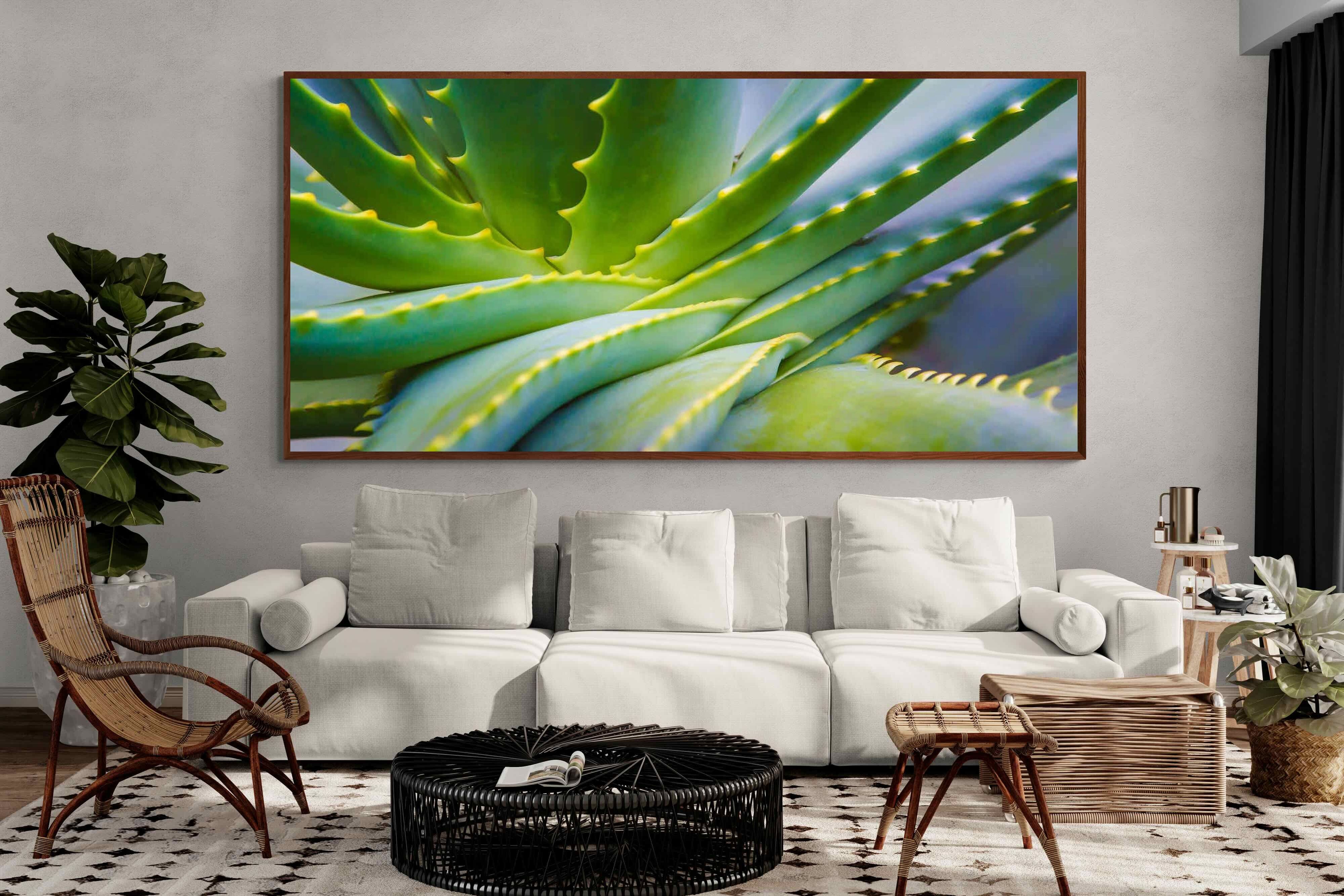 Pixalot ® Aloe Vera