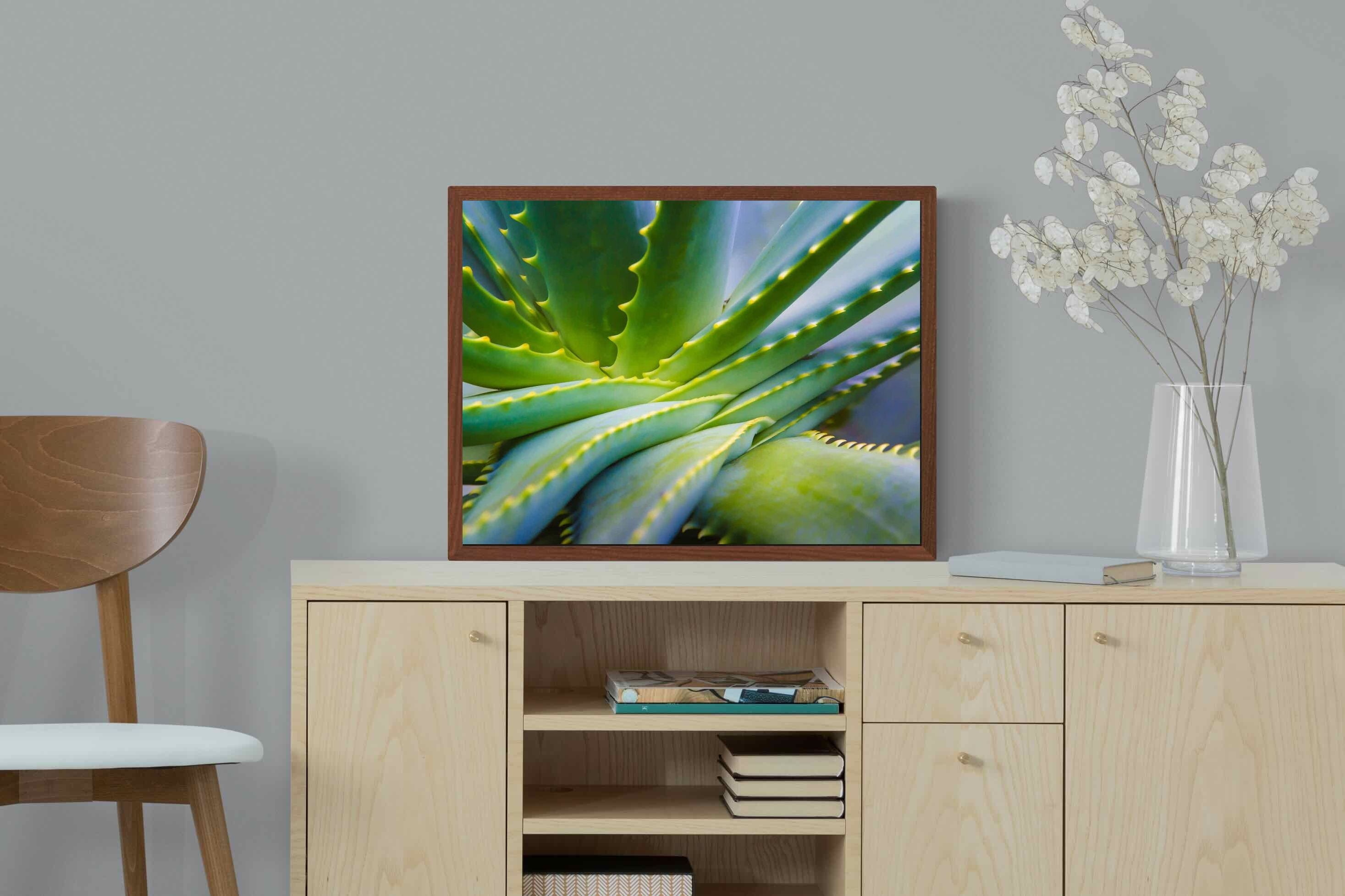 Pixalot ® Aloe Vera