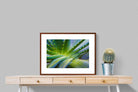 Pixalot ® Aloe Vera
