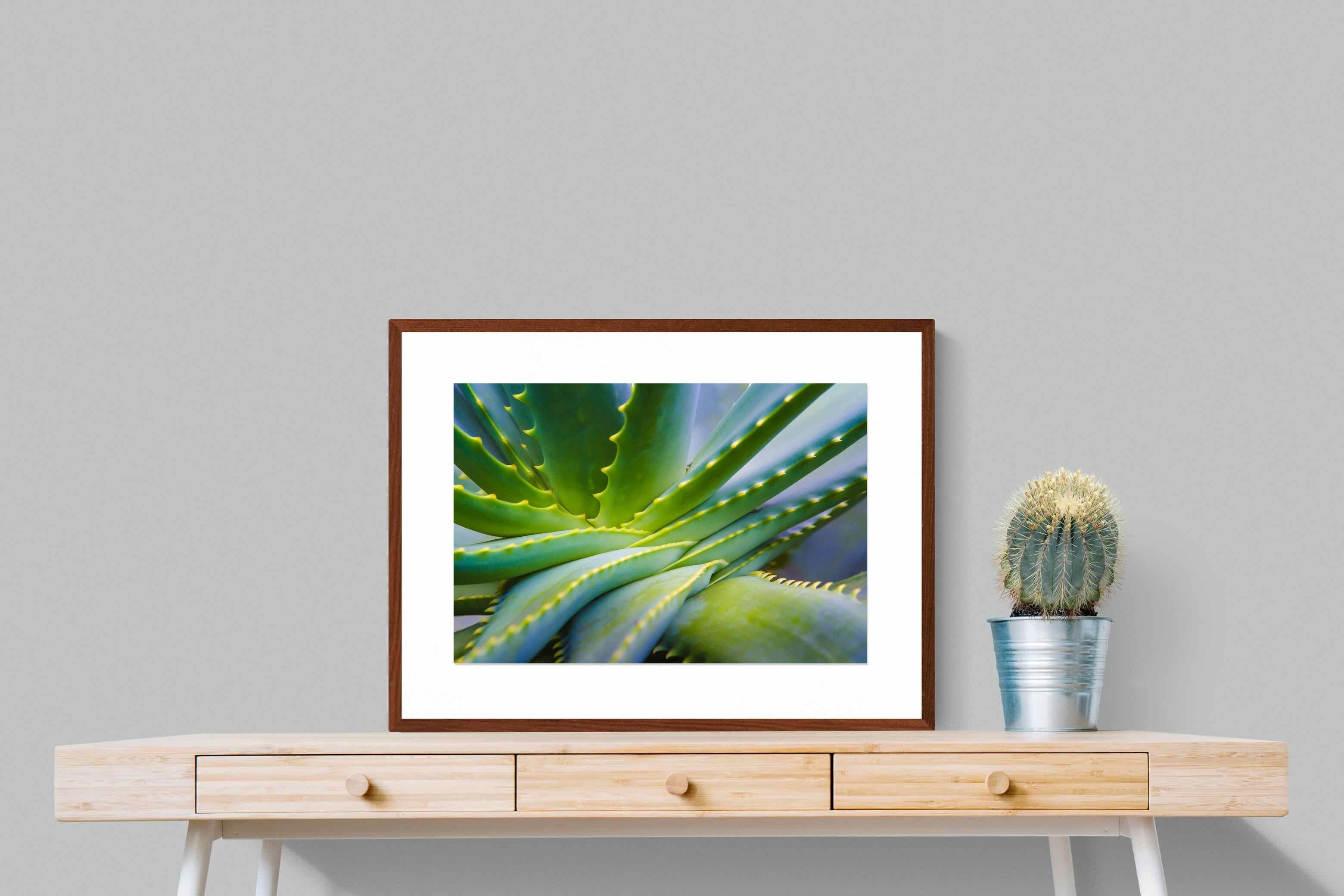Pixalot ® Aloe Vera
