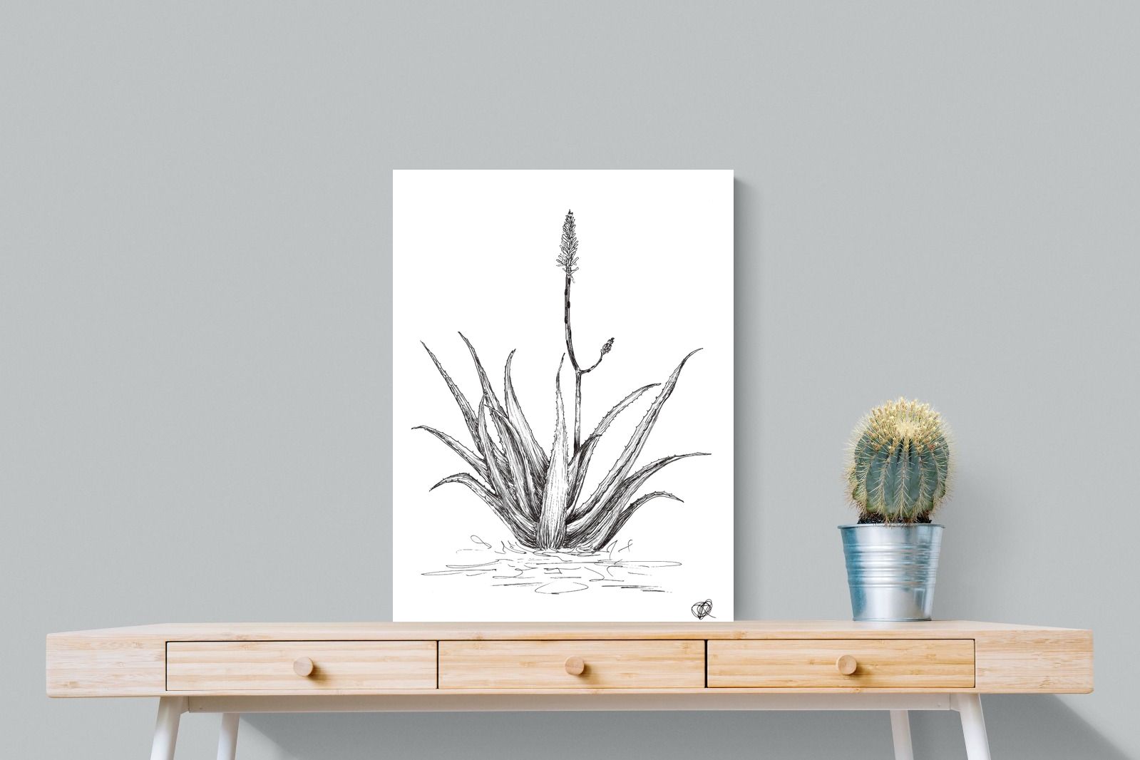 Pixalot Aloe with One Flower