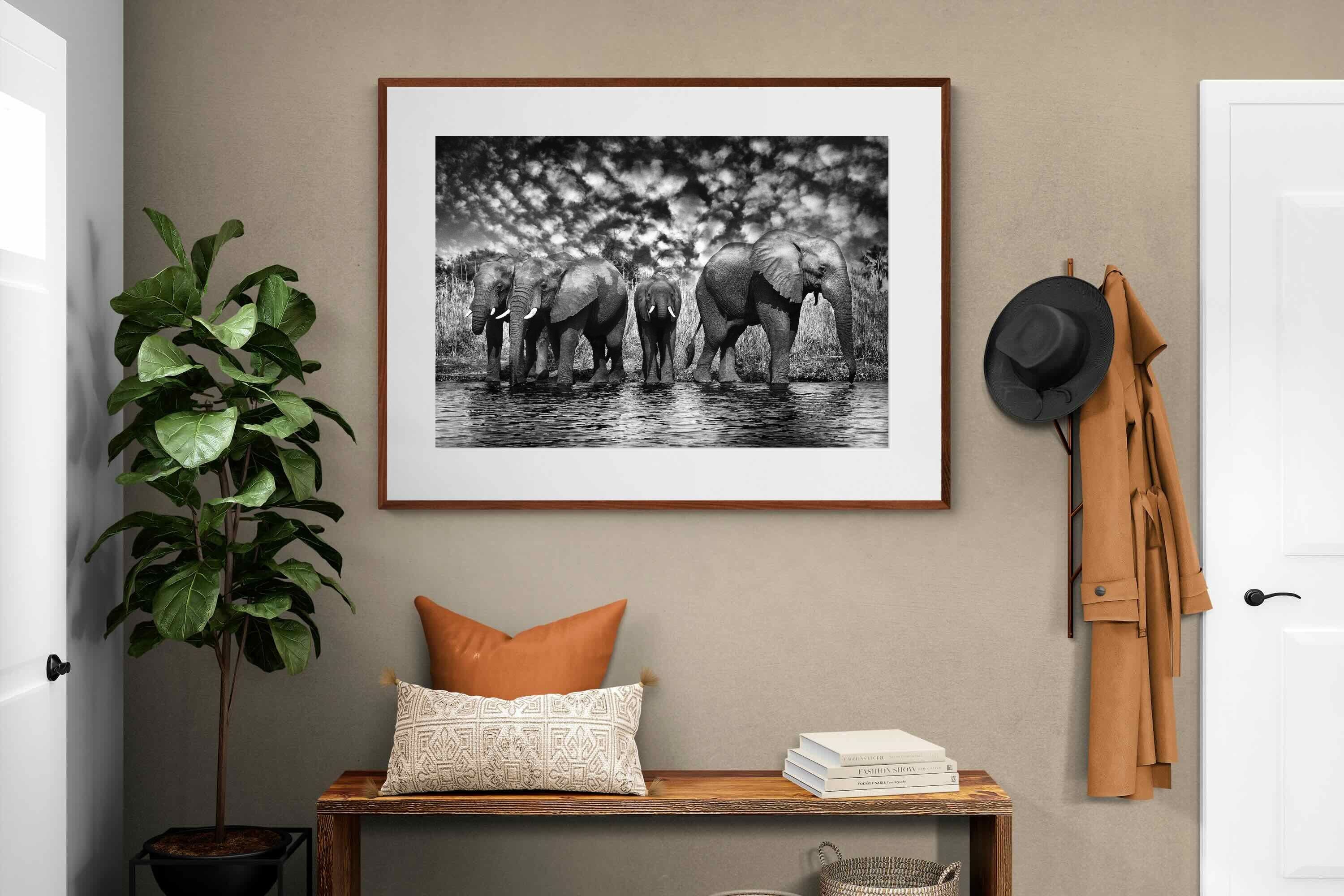 Pixalot ® Amboseli Lake