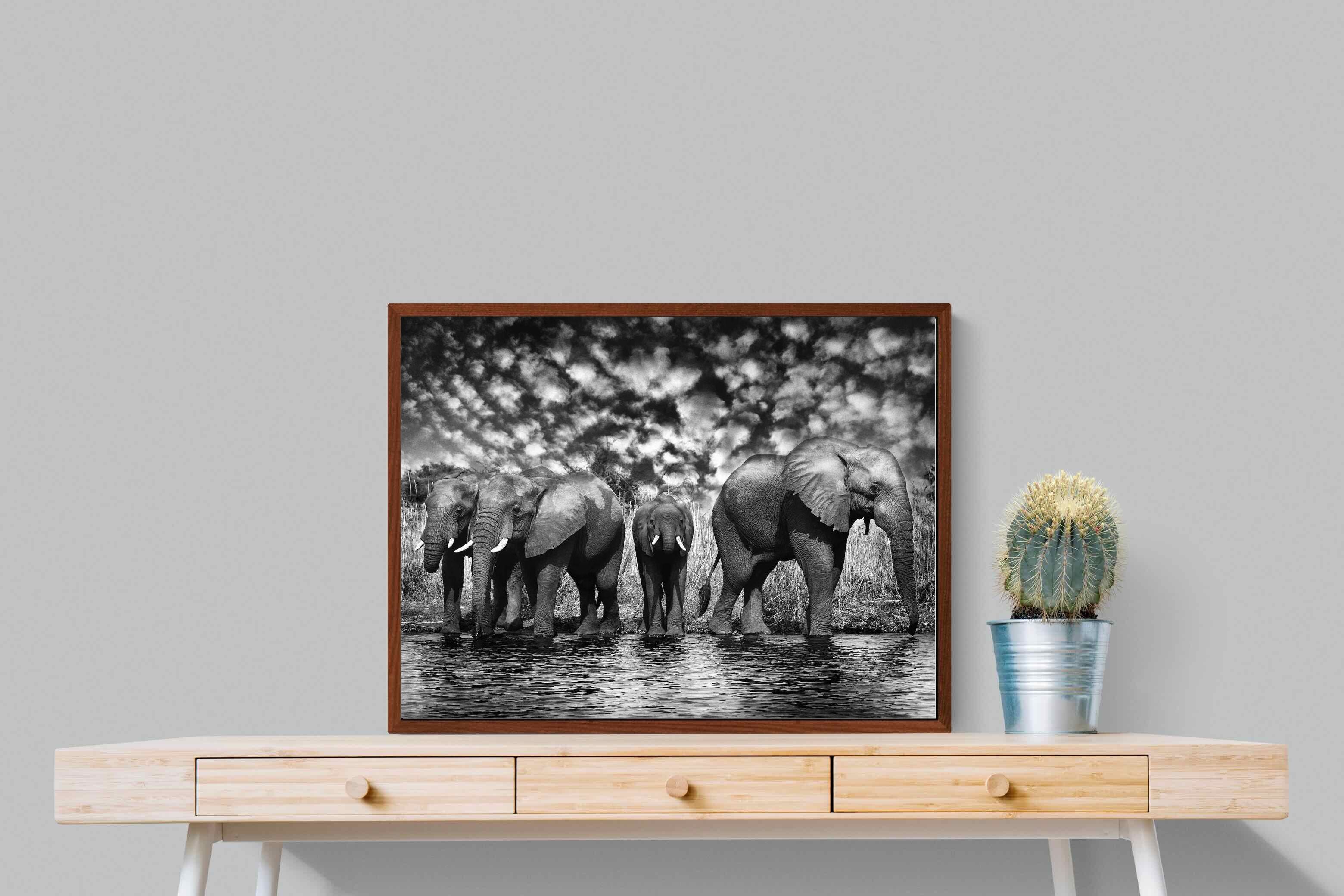 Pixalot ® Amboseli Lake