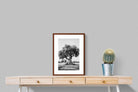 Pixalot Ancient Olive Tree