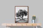 Pixalot Ancient Olive Tree