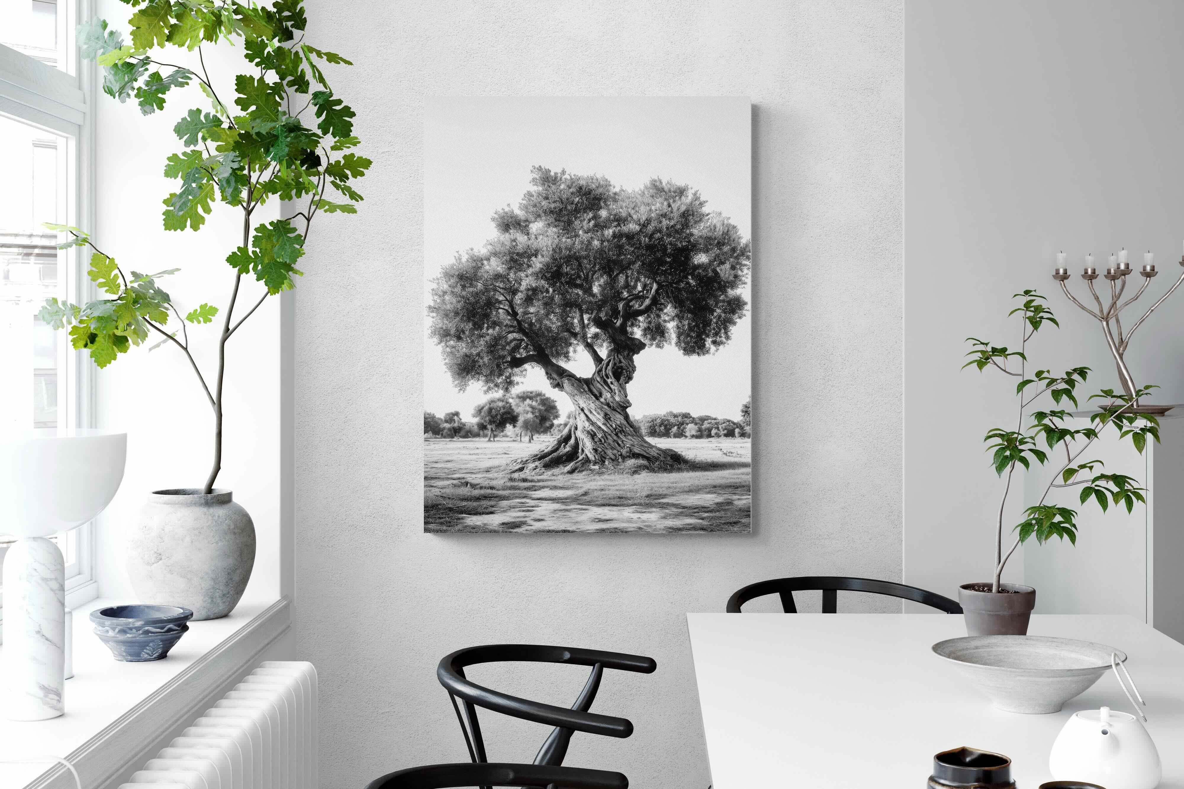 Pixalot Ancient Olive Tree