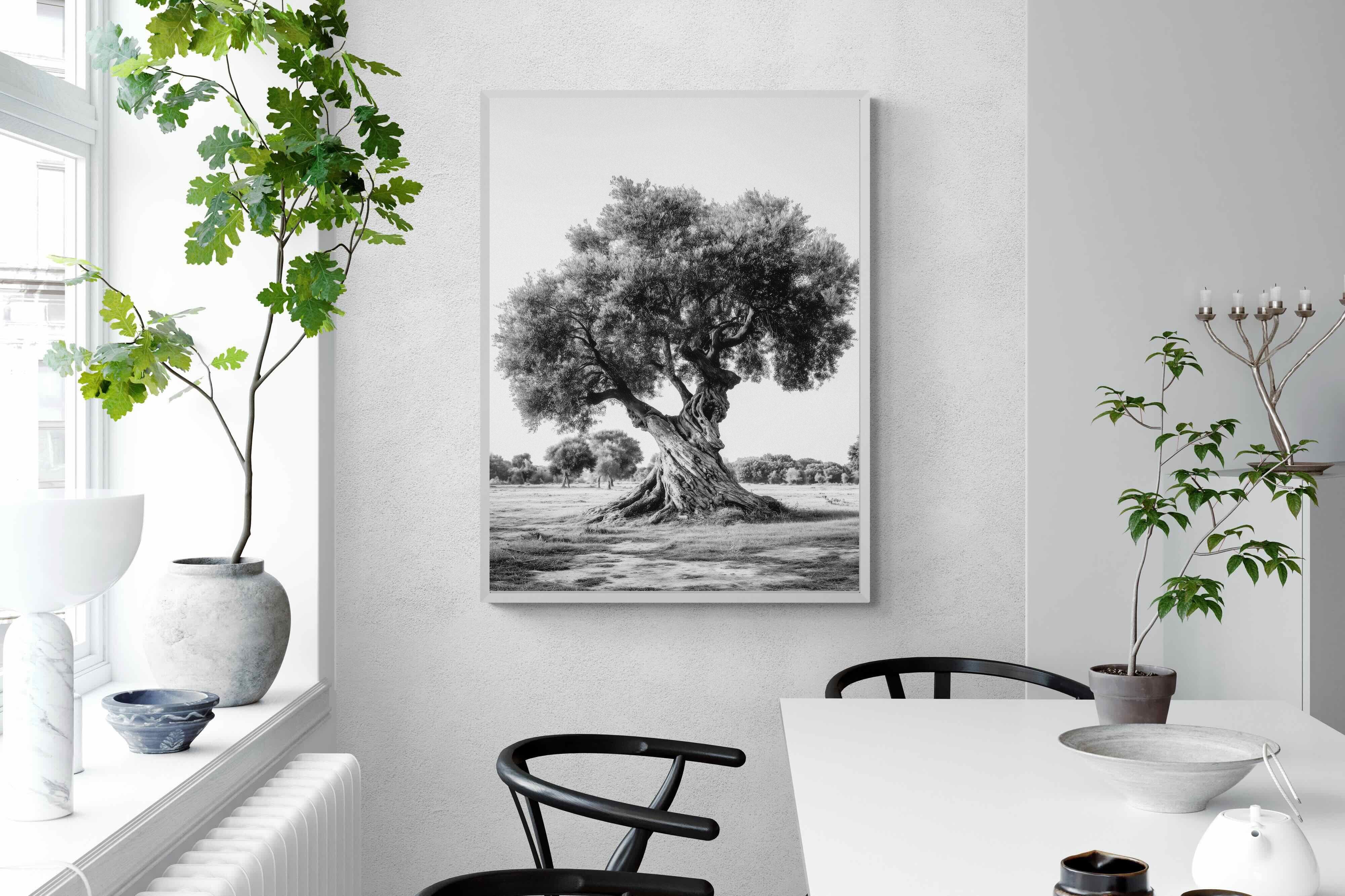 Pixalot Ancient Olive Tree