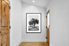 Pixalot Ancient Olive Tree