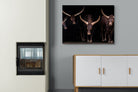 Pixalot Ankole-Watusi Herd