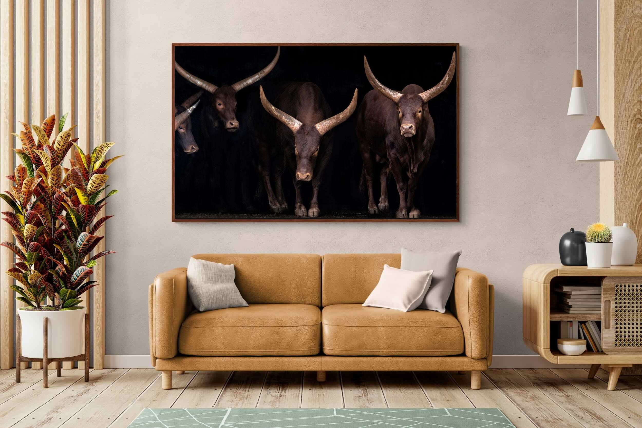 Pixalot ® Ankole-Watusi Herd