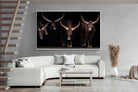Pixalot Ankole-Watusi Herd