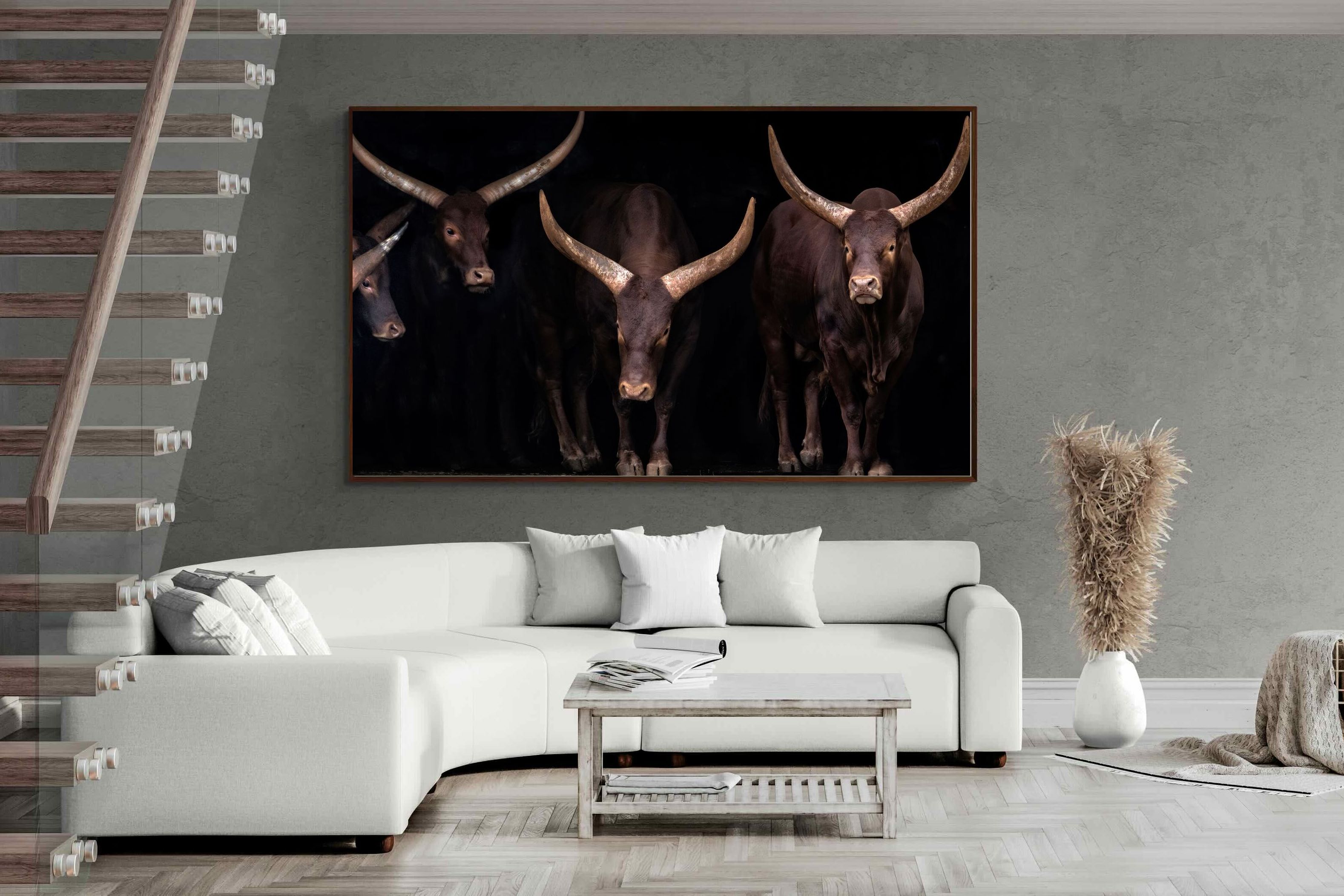 Pixalot ® Ankole-Watusi Herd