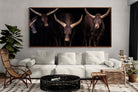 Pixalot ® Ankole-Watusi Herd