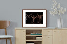 Pixalot ® Ankole-Watusi Herd