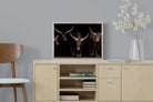 Pixalot Ankole-Watusi Herd