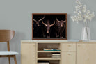 Pixalot ® Ankole-Watusi Herd