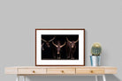 Pixalot ® Ankole-Watusi Herd