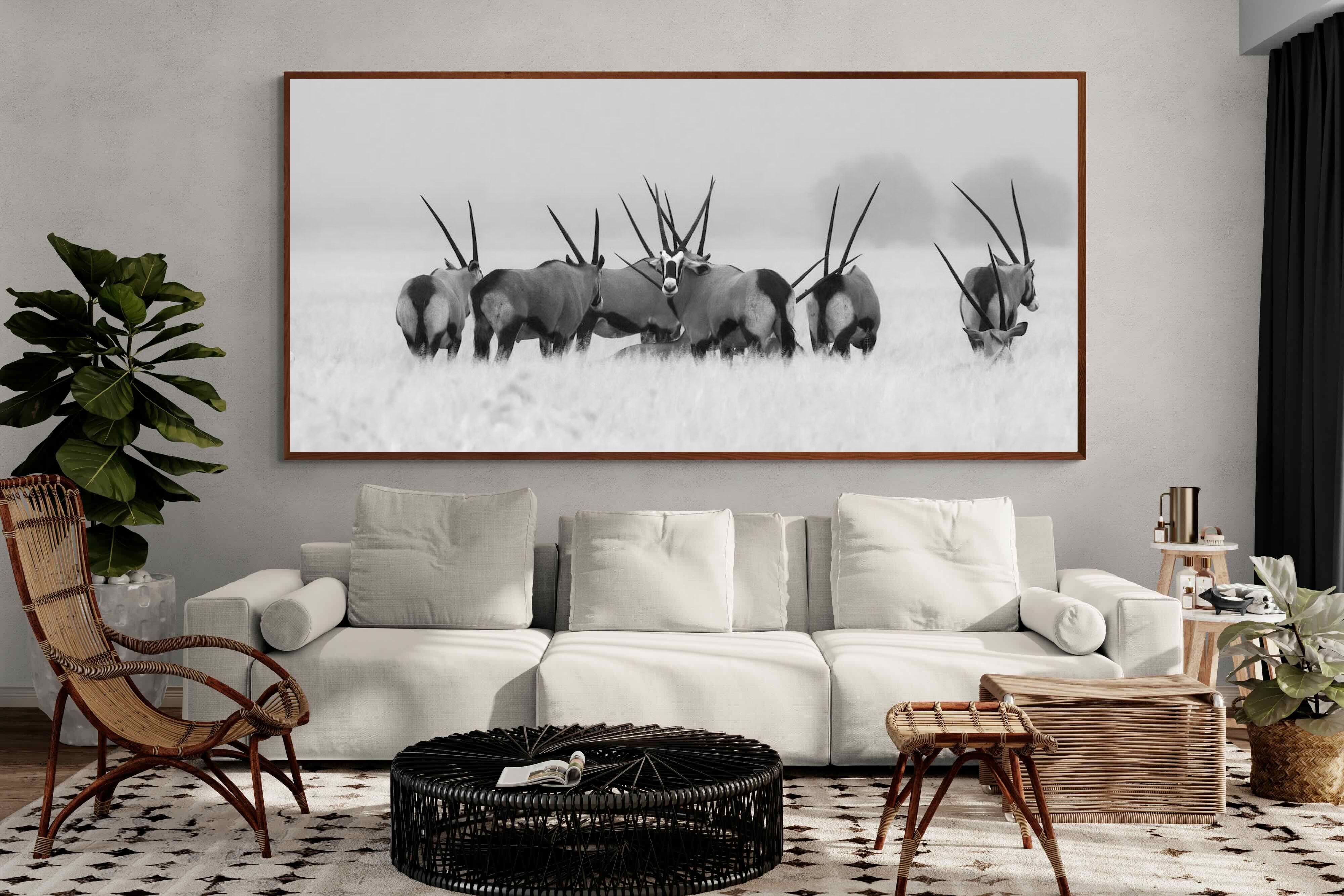 Pixalot ® Antelope Herd