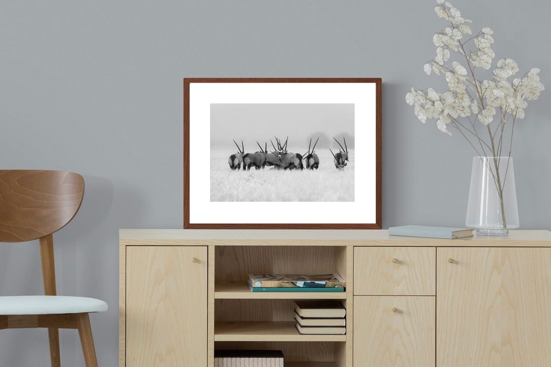 Pixalot ® Antelope Herd