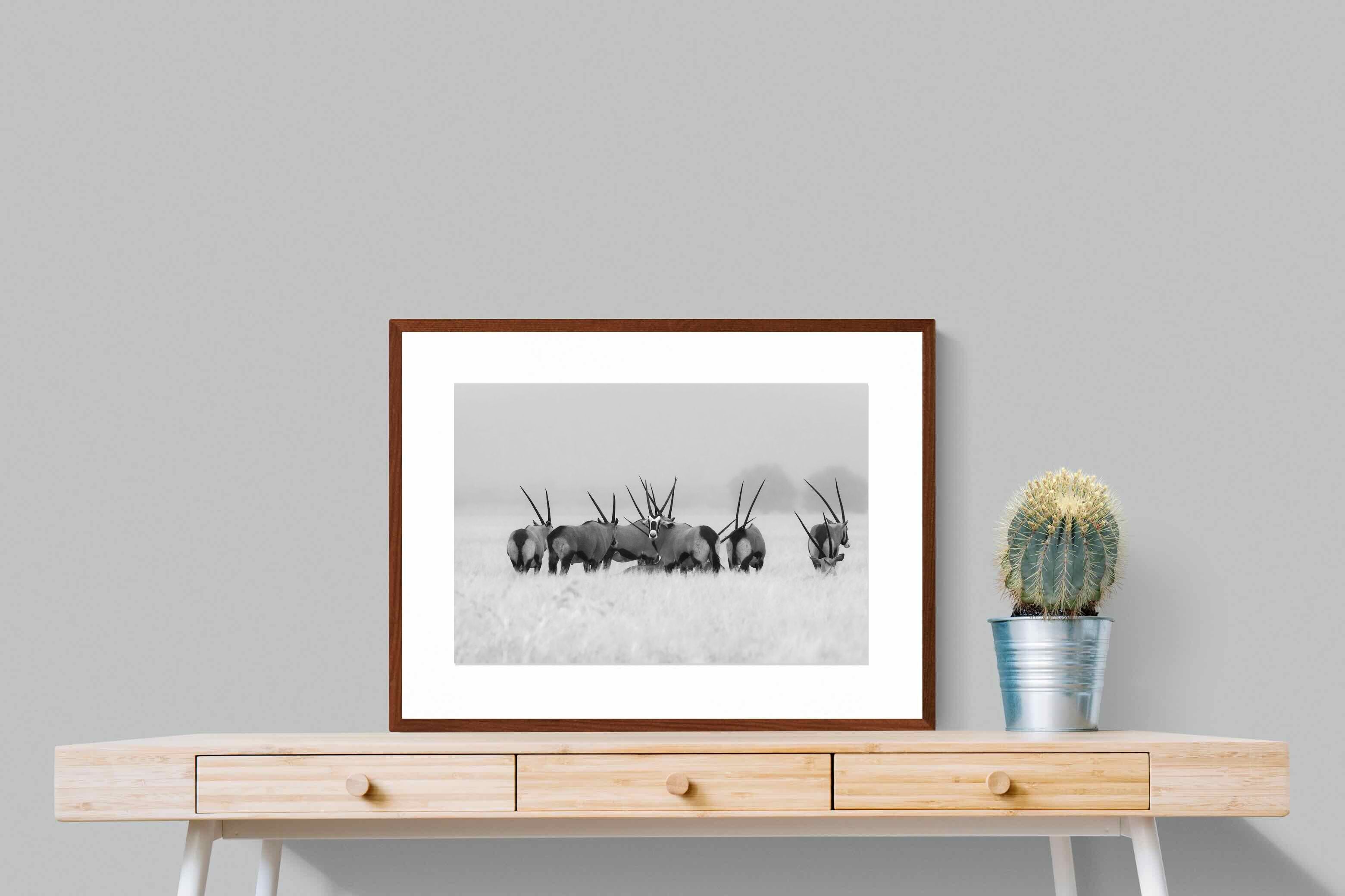 Pixalot ® Antelope Herd