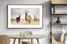 Pixalot ® Antelope Trio