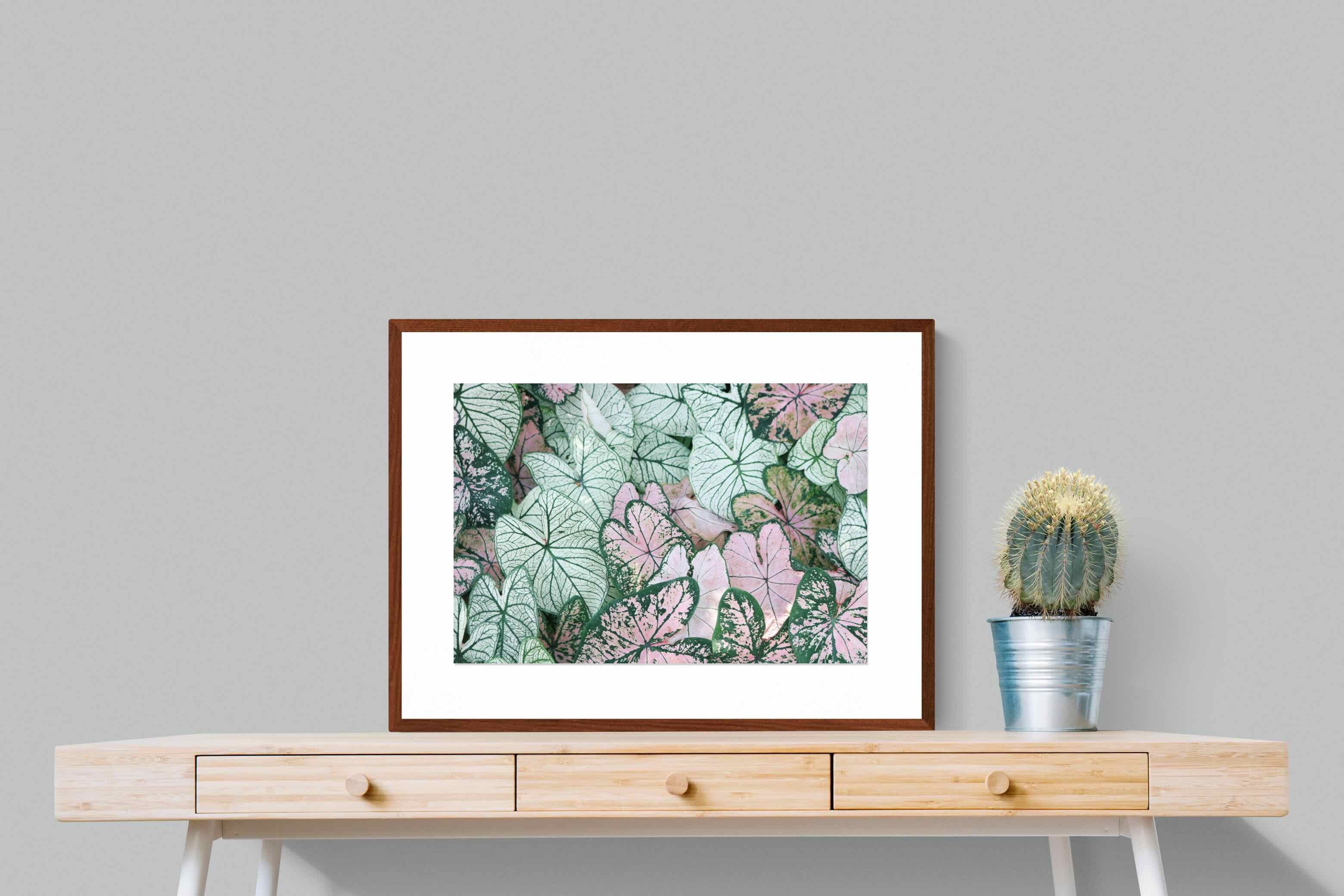 Pixalot ® Arrowhead