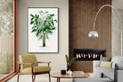 Pixalot Astrocaryum Murumuru Palm Tree Illustration