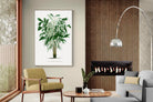 Pixalot Astrocaryum Murumuru Palm Tree Illustration