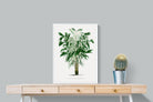 Pixalot Astrocaryum Murumuru Palm Tree Illustration
